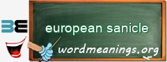 WordMeaning blackboard for european sanicle